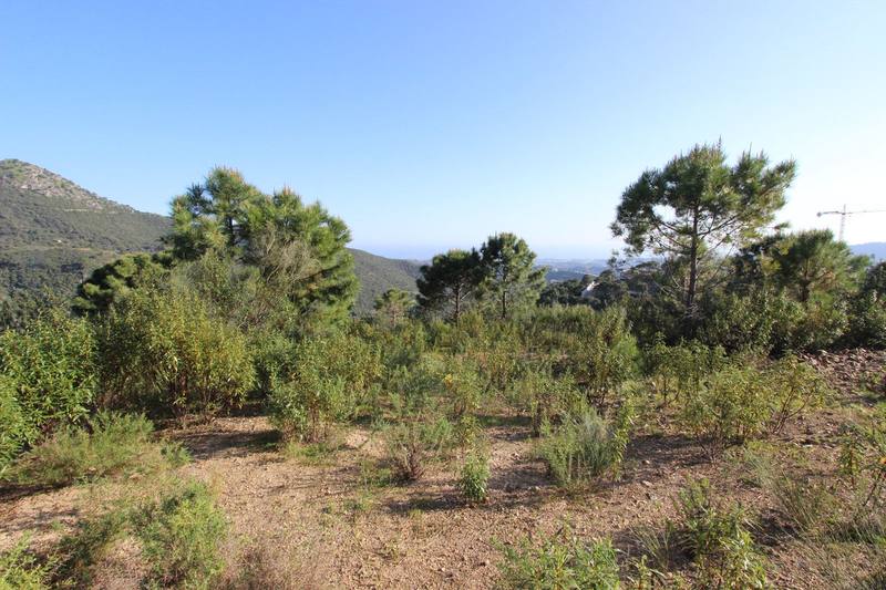 Residential Plot in Benahavís