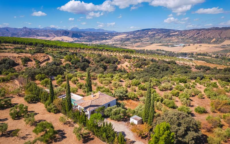 Finca - Cortijo in Ronda