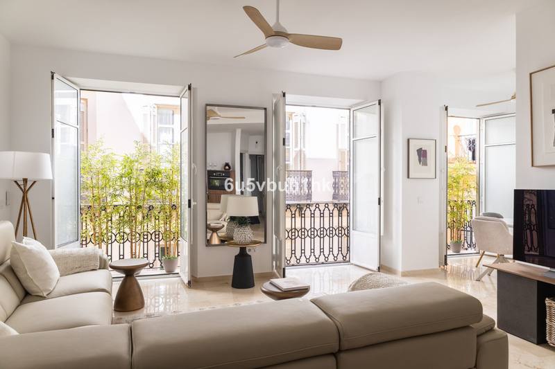Middle Floor Apartment in Malaga - Centro