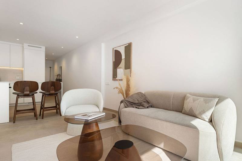 Middle Floor Apartment in Málaga Centro